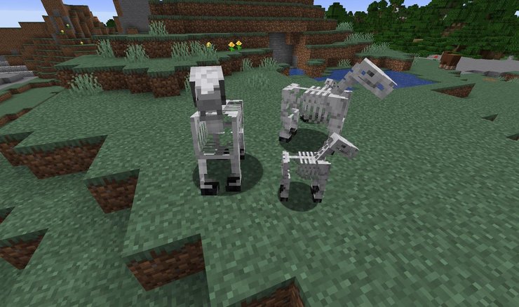 Skeleton Horse In Minecraft