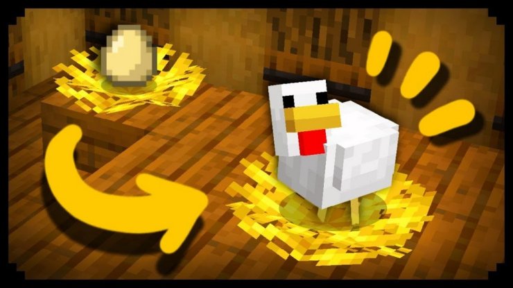 minecraft chicken egg