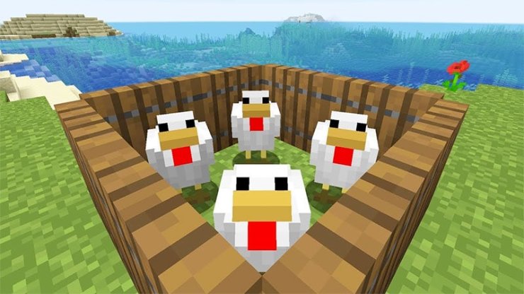 How To Make Chickens Lay Eggs Minecraft