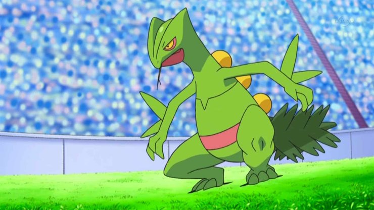 Sceptile Pokemon Go