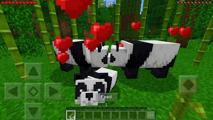How To Breed A Brown Panda In Minecraft