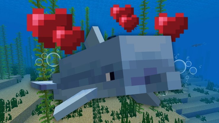 Dolphin In Minecraft