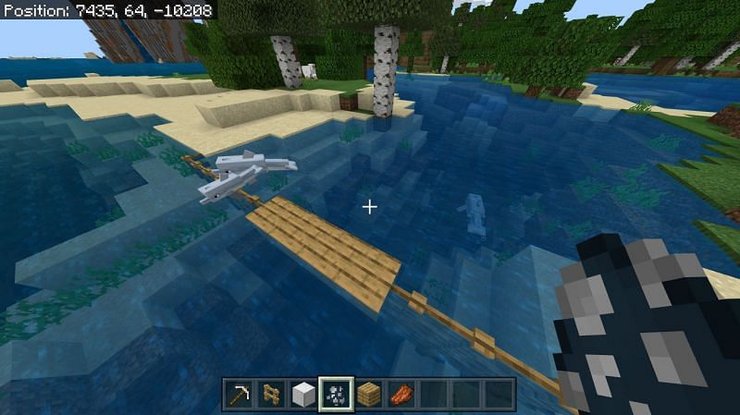 Dolphin In Minecraft 3