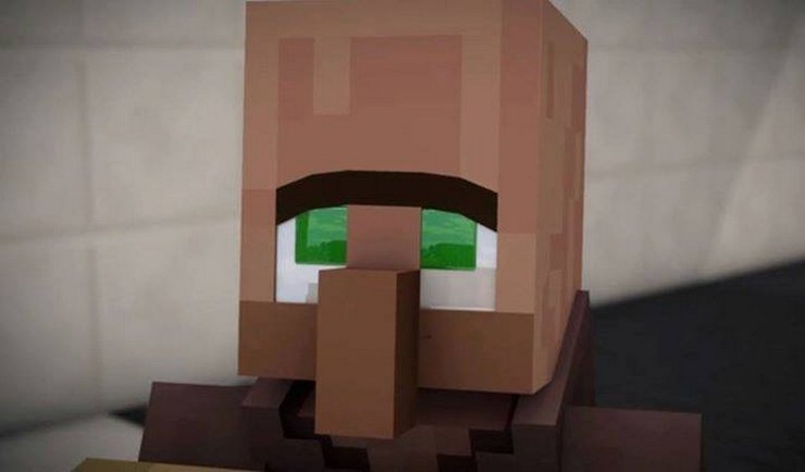 Sad Villager