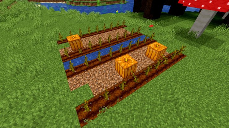 Where To Find Pumpkins In Minecraft And How To Farm Them