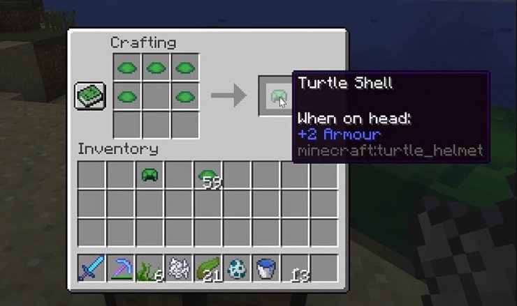 Collect 5 Turtle Shells