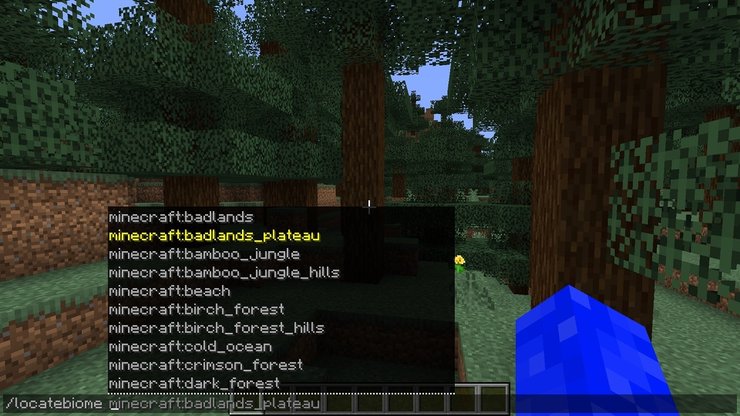 How To Find Biomes In Minecraft Via Command App