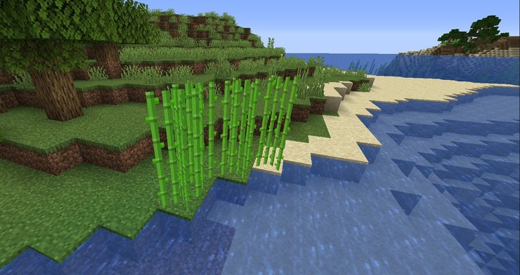 Sugar Cane Minecratf