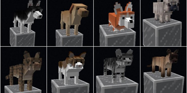 Minecraft Animania Cats And Dogs 