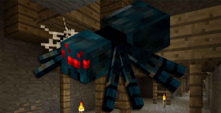 Cave Spiders Feature