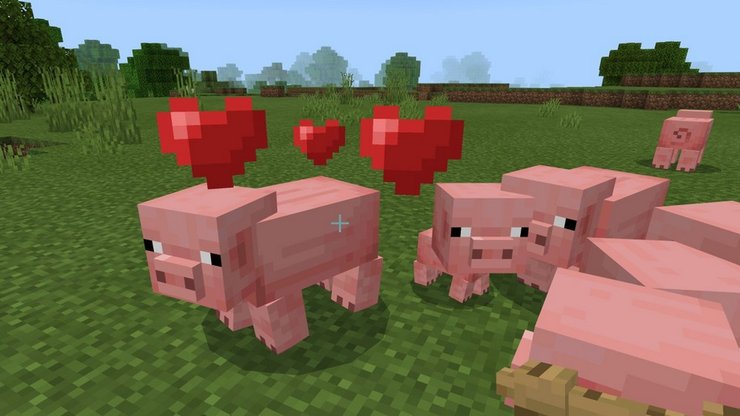 How To Breed Pigs In Minecraft & How To Ride Them 