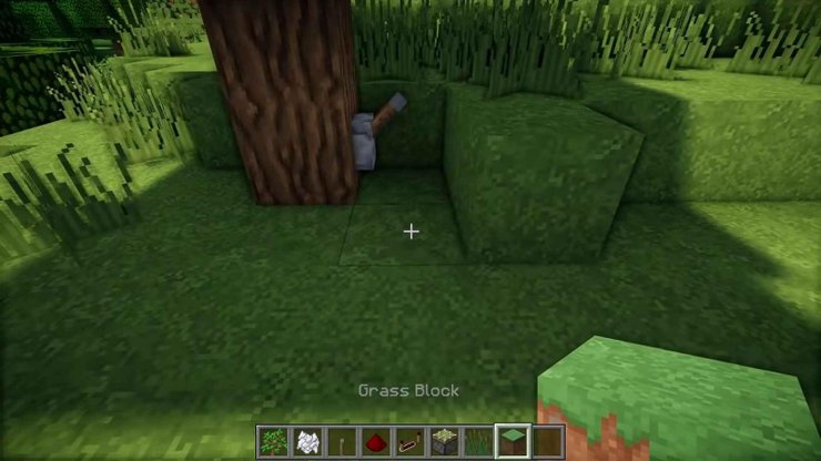 Secret Grass Door Minecraft 1