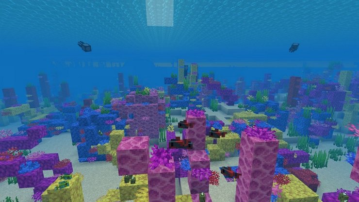 How To Get Minecraft Coral & What They Are Used For