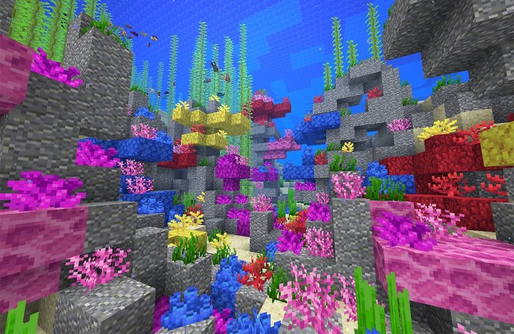 Minecraft Coral Designs