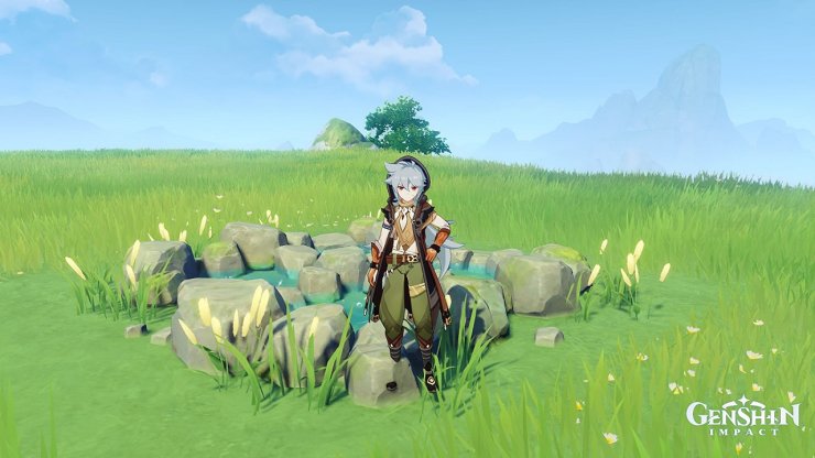 Water Field