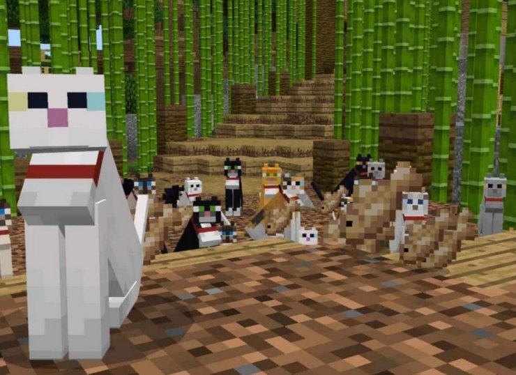 All Cats In Minecraft