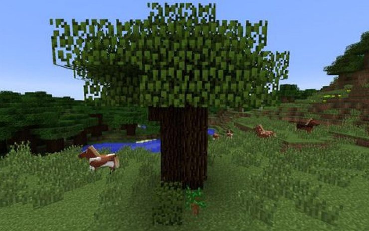 Dark Oak Tree Minecraft