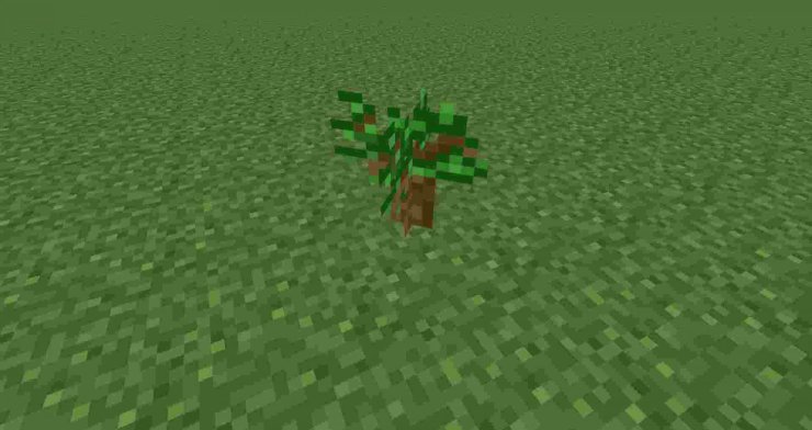 How To Grow A Tree In Minecraft Tips To Make It Big And Fast