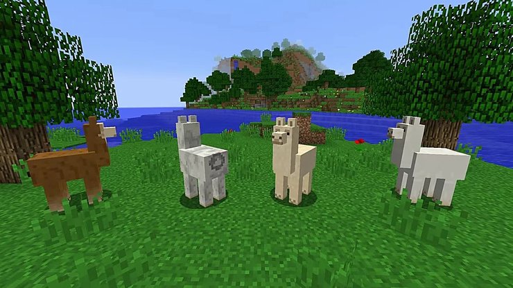 What Do Llama Eat In Minecraft To Tame And Breed 