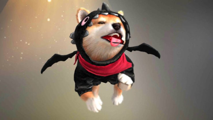 Shiba