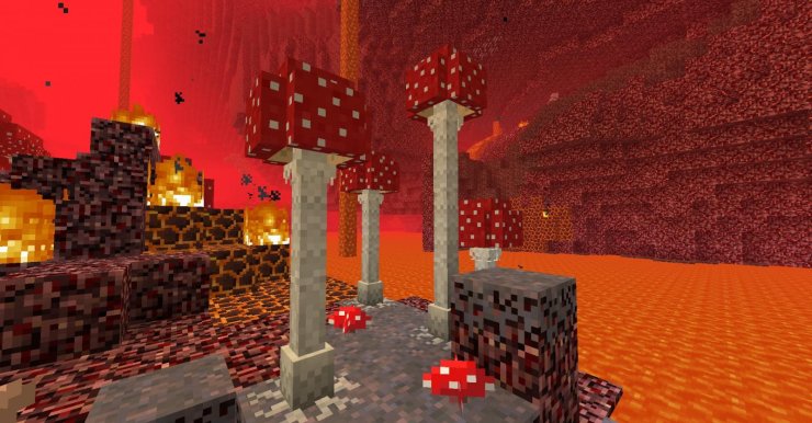 Nether Mushroom Biome