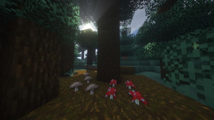 Top 5 Biomes For The Best Growth Of Mushrooms In Minecraft 2022