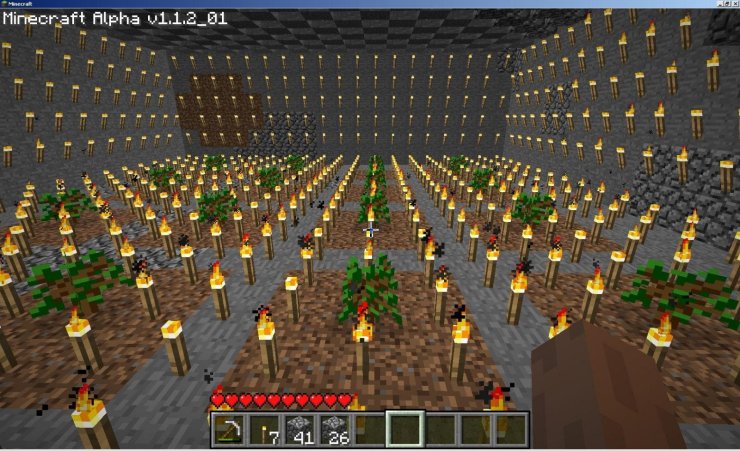 underground tree farm