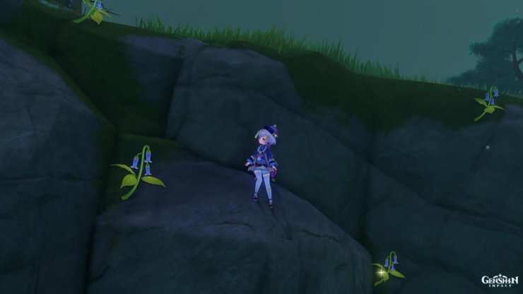 Violetgrass