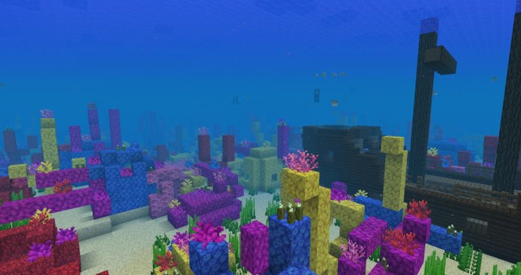 Warm Ocean Coral Reef