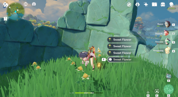 Sweet Flower