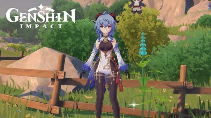 Genshin Impact Mint Location