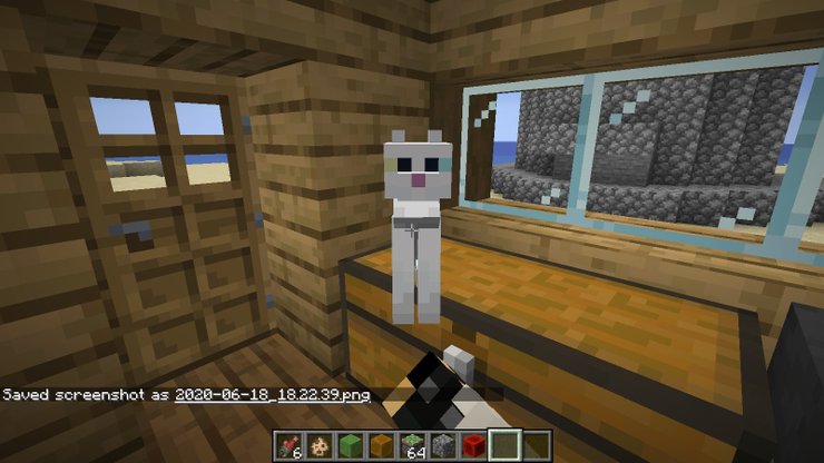 Cats On Chest Minecraft