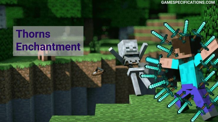 Thorns Minecraft 1024x576