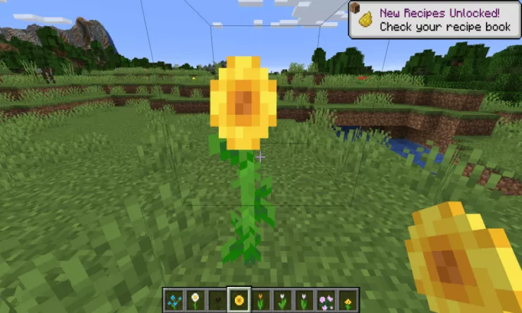 Minecraft Where To Find All Flowers In Minecraft S