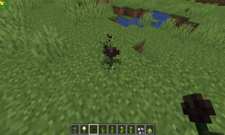 Minecraft Where To Find All Flowers In Minecraft W