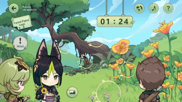 The Third Forest Zone