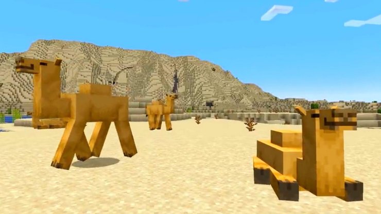 Minecraft Camel Desert