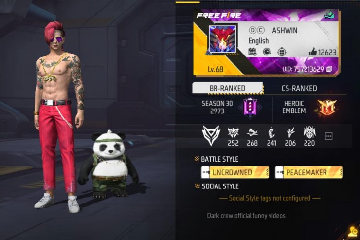 Ashwin Free Fire Id