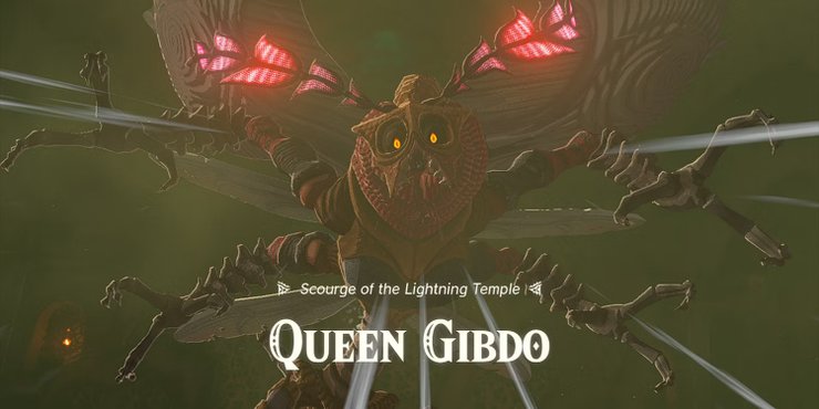 Legend Of Zelda Tears Of The Kingdom Queen Gibdo E