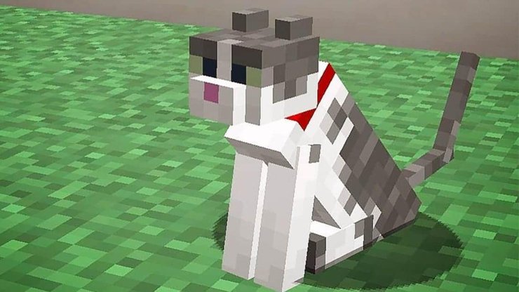How to tame a cat in Minecraft - Dexerto