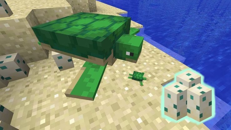 Minecraft: How to get Sea Turtle Eggs | The Nerd Stash