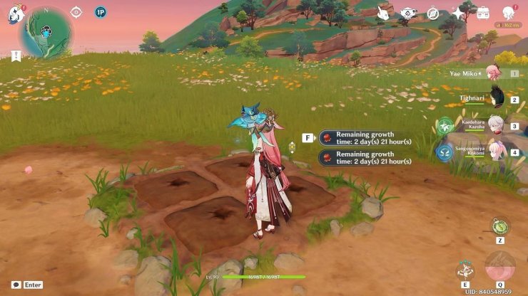 Jade Field Genshin Impact