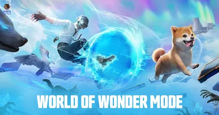 Pubg Mobile 28 Update World Of Wonder