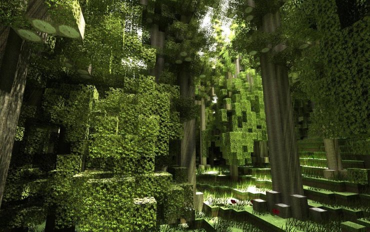 Forest Minecraft