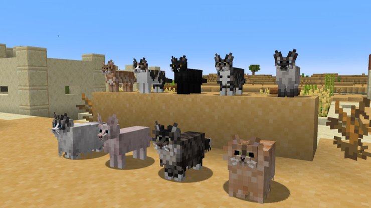 Cat Minecraft