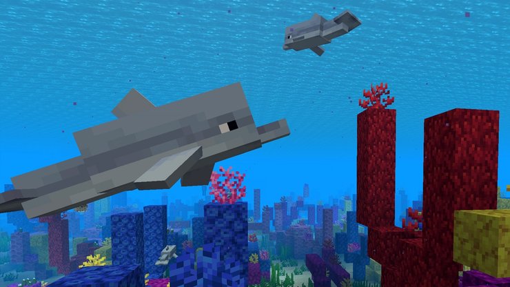 Dolphins Minecraft