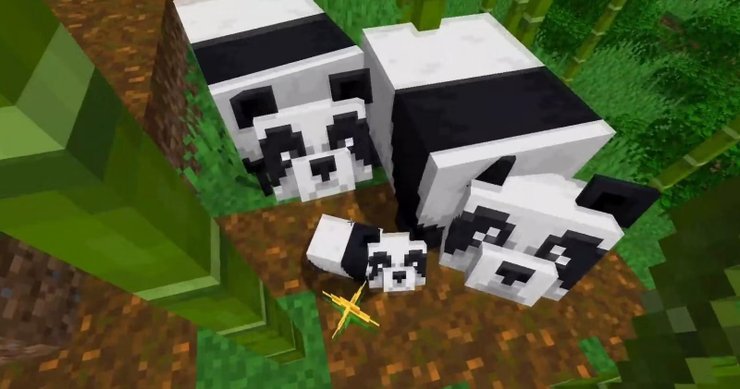 Panda Minecraft