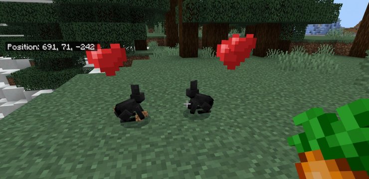 Rabbit Minecraft