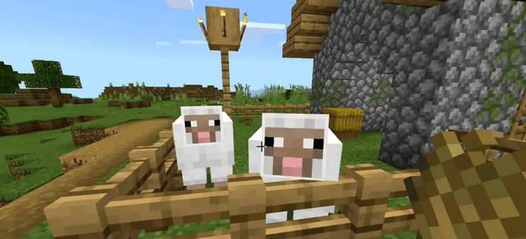 Sheep Minecraft