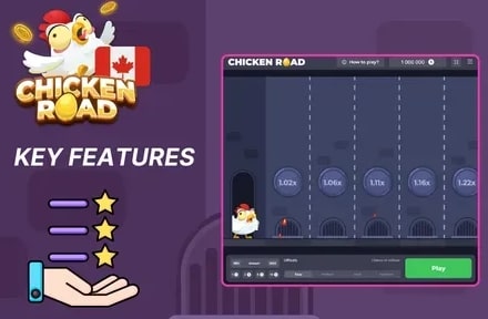 Chicken Road Game Mechanics